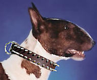 Buy Bull Terrier Custom Spiked Leather Dog Collar-2 Rows Spikes Buy Bull Terrier Custom Spiked Leather Dog Collar-2 Rows Spikes