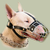 Bull Terrier Collars
