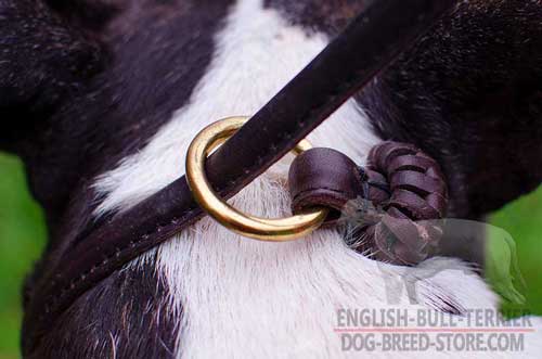 Solid Brass D-Ring on Leather Dog Choke Collar