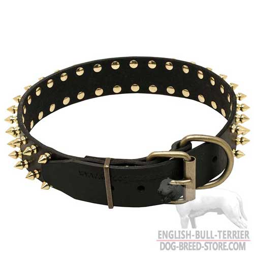 Belt-type brass buckle of dog collar