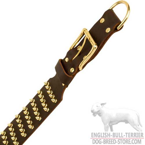 Rust Proof Buckle And D-Ring On Leather Dog Collar