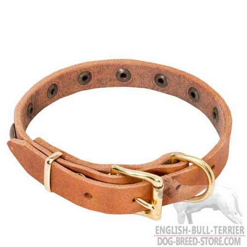 Brass Buckle And D-Ring On Light Weight Leather Dog Collar