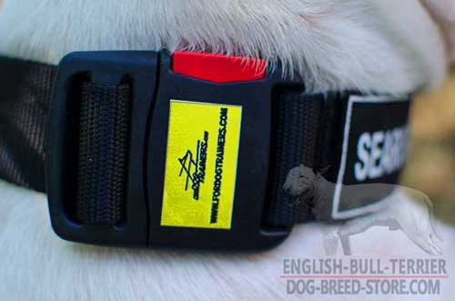 Reliable Buckle On Training Nylon Dog Collar