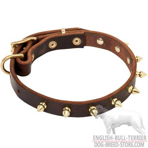 Stylish Designer Leather Bull Terrier Collar with Spikes