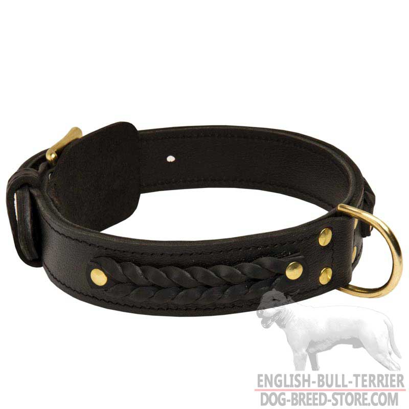 Get Braided Leather Bull Terrier Collar Dog Training