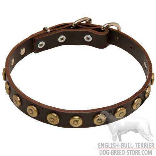 Bull Terrier Supplies presents: Fashion Wide Leather Dog Collar for Everyday Walking
