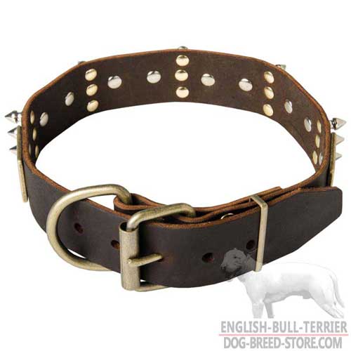Spiked and Plated Leather Dog Collar With Traditional Brass Buckle