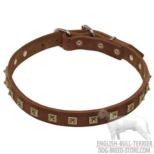 Durable Studded Leather Dog Collar for Bull Terrier Walking