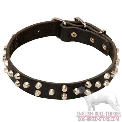 Wide Leather Dog Collar for Bull Terrier with Stylish Pyramids