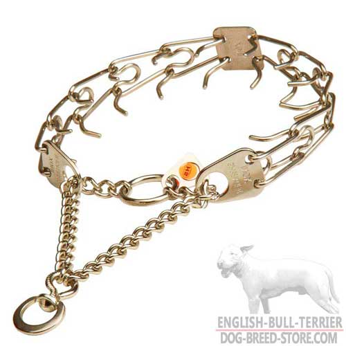 Bull Terrier Pinch Collar with Rustproof Prongs