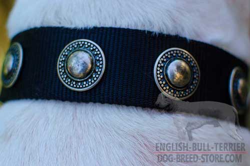 Riveted Nickel Circles On All Weather Nylon Dog Collar