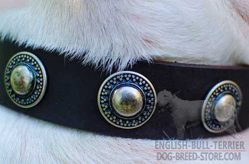 Hand Set Rust Proof Nickel Circles On Walking Leather Dog Collar