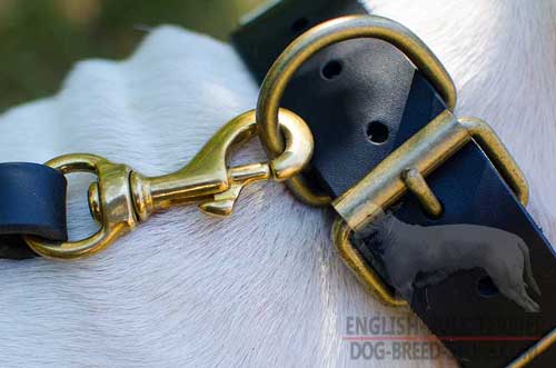 Rust Proof Brass Buckle and D-Ring on Fashion Leather Dog Collar