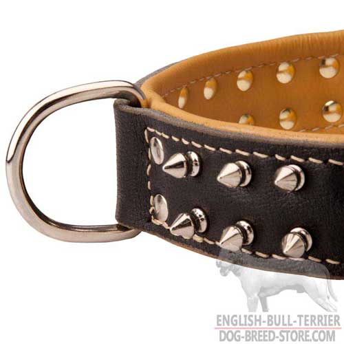 D-Ring On Padded Leather Dog Collar of Spiked Design