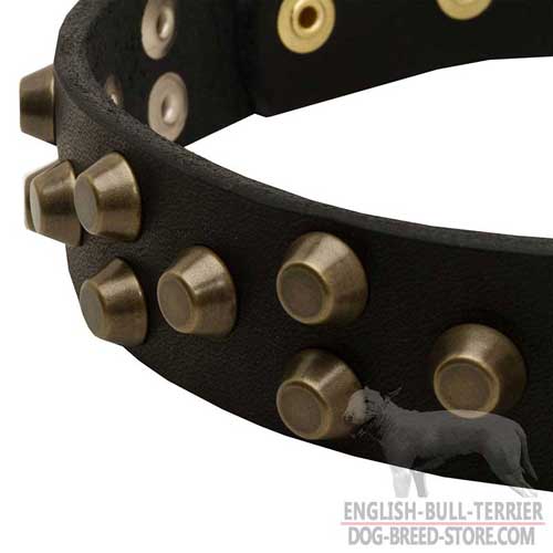 Brass decorative cones of Bull Terrier dog collar