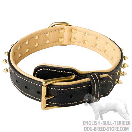 Spiked Leather Dog Buckle Collar for Bull Terrier Walking
