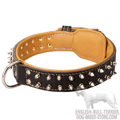 Padded Leather Dog Collar of Spiked Design