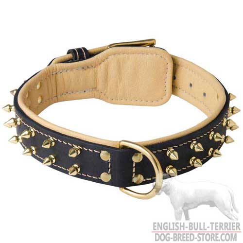 Spiked Design Padded Leather Dog Collar with Brass Spikes