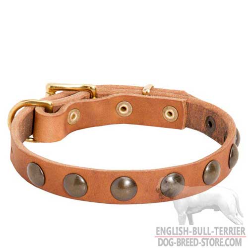 Awesome Studded Leather Dog Collar for Everyday Walking