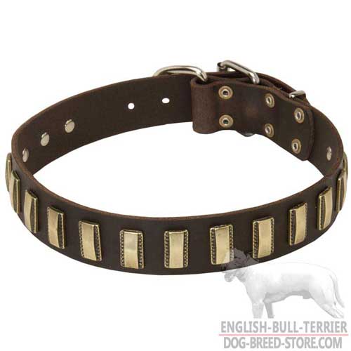 Wide Designer Leather Dog Collar Decorated With Brass Plates