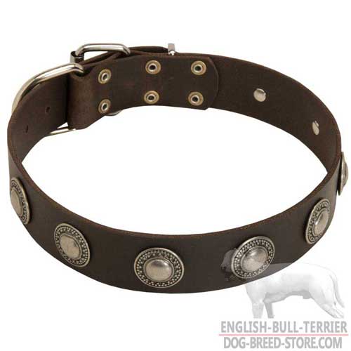  Stylish Leather Bull Terrier Collar For Handling And Training your Dog