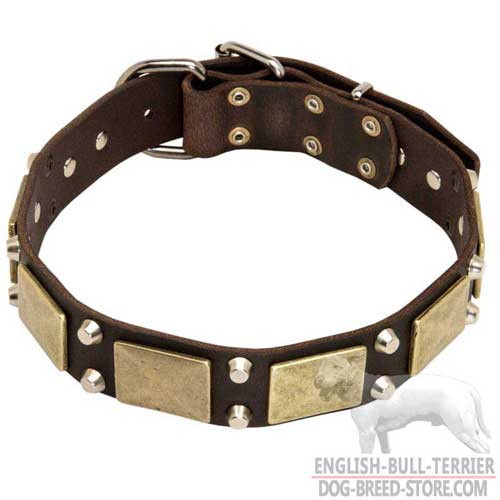 Fashion Studded Leather Bull Terrier Collar for Everyday Walking your Dog
