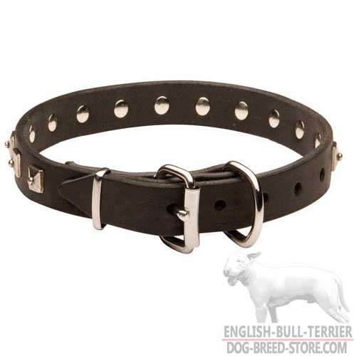Narrow Leather Dog Collar with Rust Proof Nickel Plated Fittings