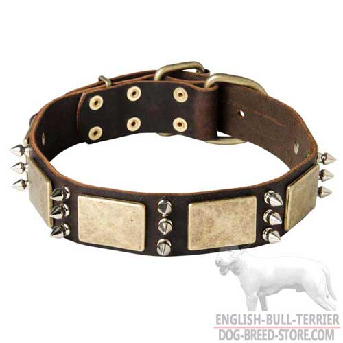 War Design Strong Leather Dog Collar With Plates And Spikes