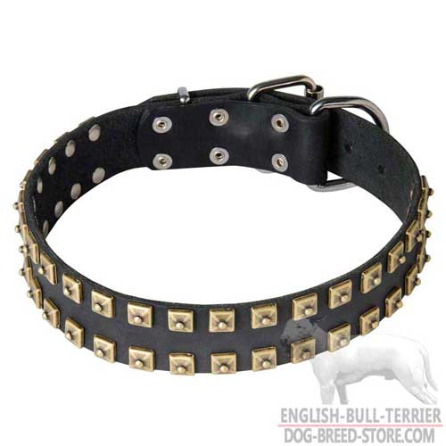 Studded Leather Dog Collar with Hand Set Brass Decorations