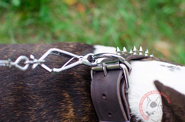 Leather English Bullterrier Collar with Buckle and D-Ring for Lead Attachment
