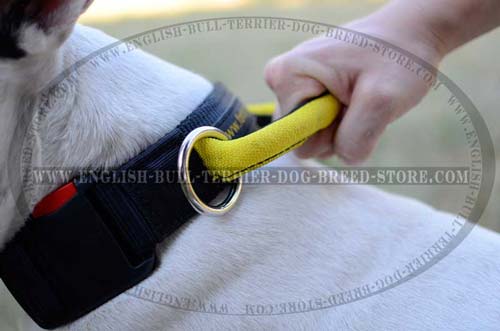 Easy Grab Round Handle of Training Nylon Dog Collar for Close Control