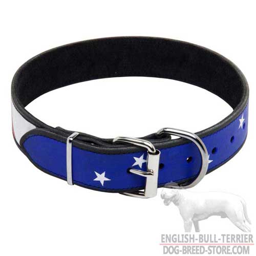 Custom Painted Leather Dog Collar for Bull Terrier