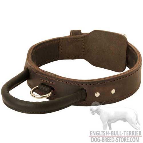 Two Ply Leather Dog Collar With Strong Handle and Brass D-Ring