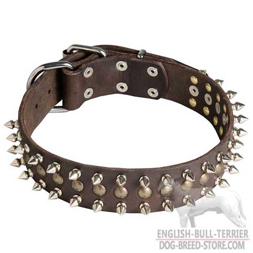Leather Dog Collar for Bull Terrier breed, beautiful adornment