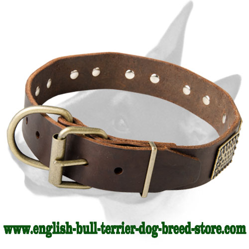 Dog Collar Decorated with trendy plates Steel and stylish hardware ... Dog Collar Decorated with trendy plates Steel and stylish hardware ...