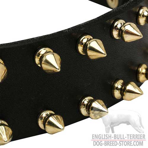 Dog collar with spikes for English Bull Terrier 