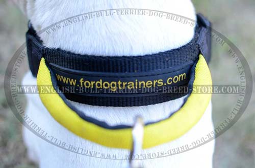 Fast Grab Round Handle of All Weather Nylon Dog Collar