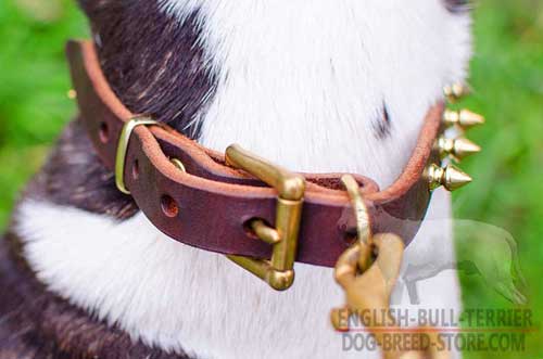 Corrosion Resistant Brass Hardware on Adjustable Walking Leather Dog Collar