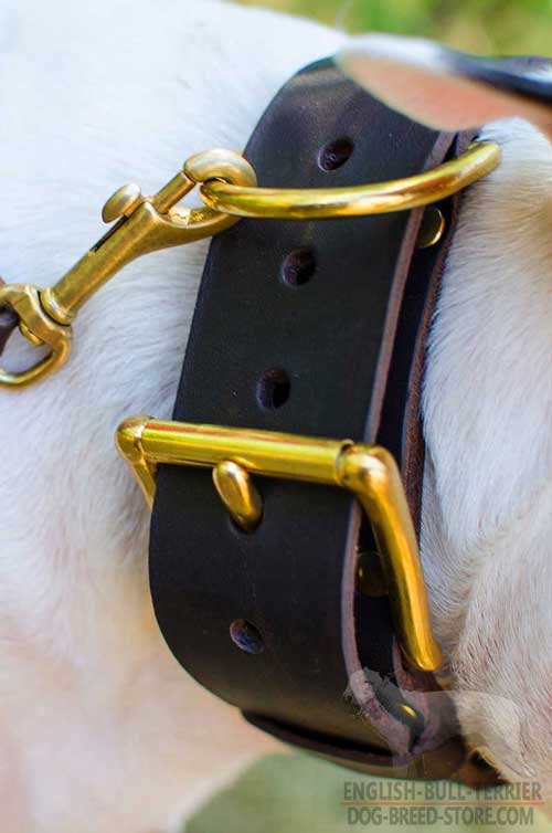 Brass Hardware On Extra Wide Spiked Leather Dog Collar