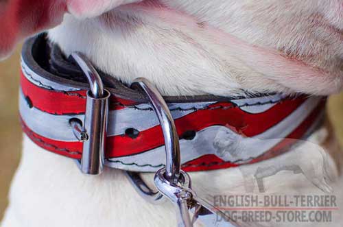 Rust Proof Nickel Plated Hardware on Painted Leather Dog Collar