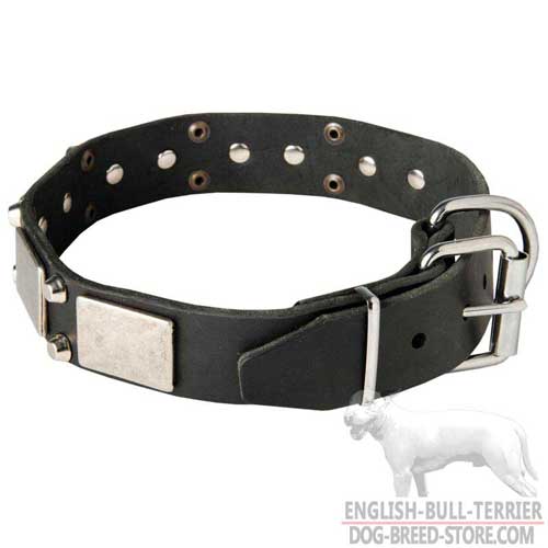 Decorated Leather Dog Collar with Rust Proof Nickel Plated Hardware