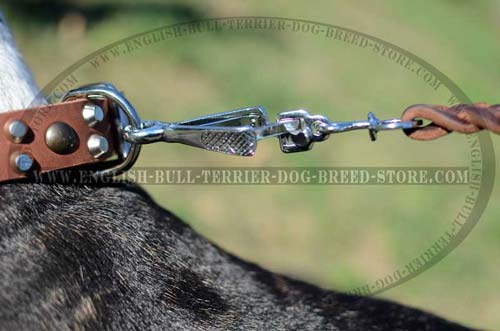 Solid Nickel Plated D-Ring on Decorated Leather Dog Collar