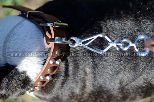 Rust Resistant Nickel Plated Hardware on Fashion Leather Dog Collar