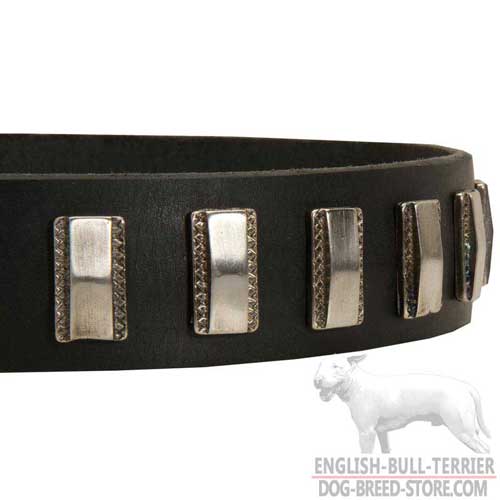 Designer Nickel Plates on Leather Dog Collar