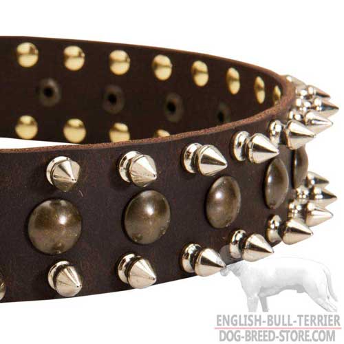 Brass Studs and Spikes on Leather Bull Terrier Collar