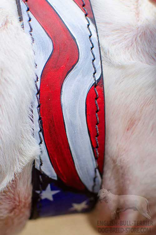 Water Proof American Flag Painting on Leather Dog Collar