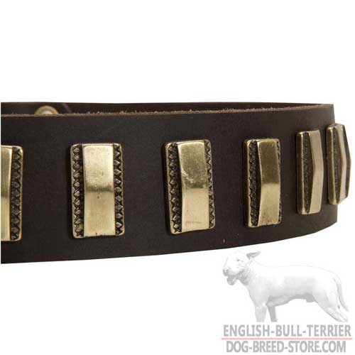 Gold-Like Brass Plates On Leather Dog Collar for Everyday Use