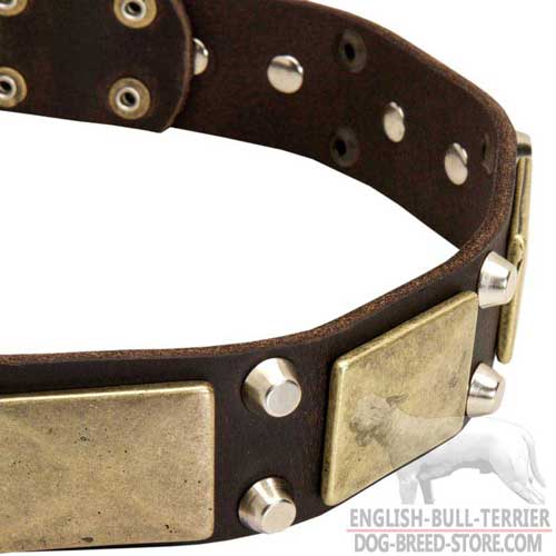 Massive Vintage Brass Plates on Studded Leather Dog Collar