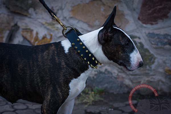 Leather English Bullterrier Collar with Rustless Decorations