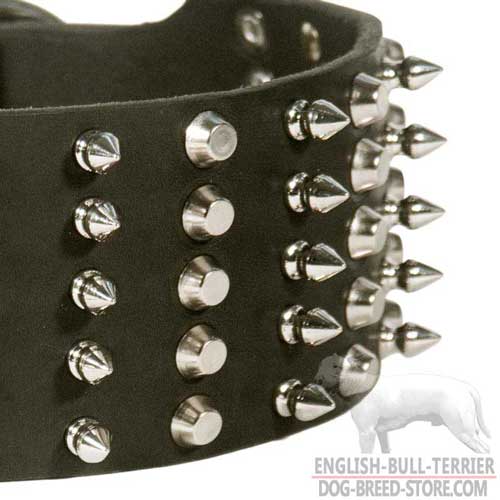 Stylish Studs and Spikes on Extra Wide Leather Bull Terrier Collar